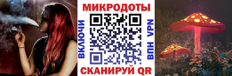 Галлюциногенные грибы Psilocybine cubensis  Ленинградская 